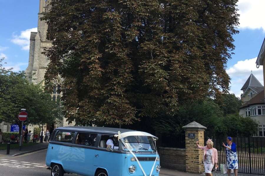 Aussie the van